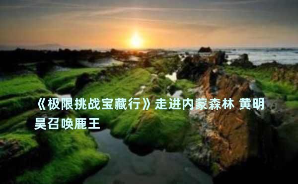 《极限挑战宝藏行》走进内蒙森林 黄明昊召唤鹿王